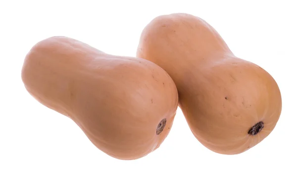 Zwei Butternut-Kürbisse isoliert auf weiß — Stockfoto