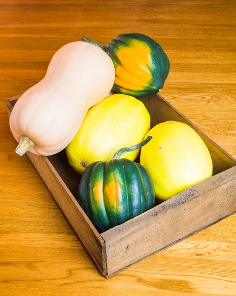 Wooden box of winter squash — Stock Photo, Image