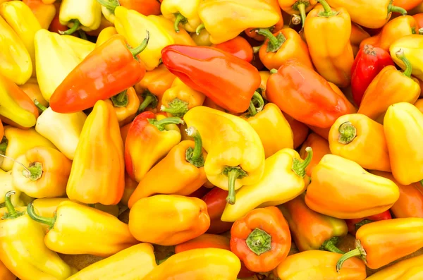 Gypsy bell peppers on display — Stock Photo, Image