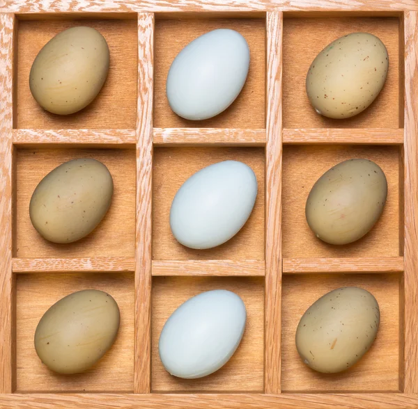 Caja de sombras con huevos de colores — Foto de Stock