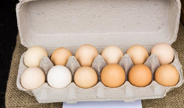 Caja de huevos ecológicos marrones — Foto de Stock