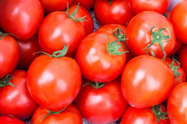 Exposição de tomates maduros vermelhos — Fotografia de Stock