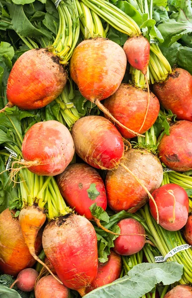 Raízes de beterraba laranja em exposição — Fotografia de Stock