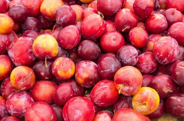 Red ripe plums at the market — Stock Photo, Image