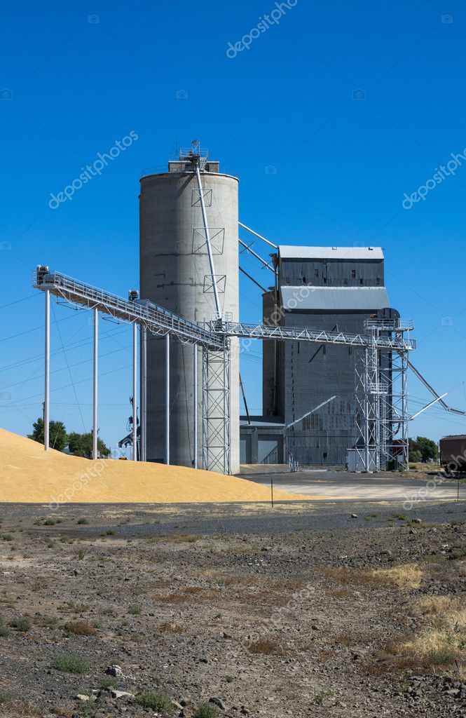 Silo and grain elevator — Stock Photo © zigzagmtart 16332401