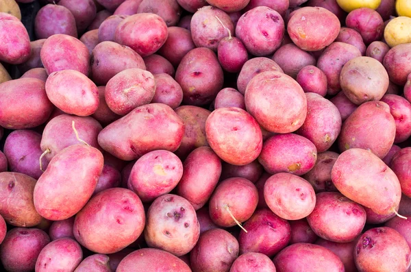 Freshly harvested red potatoes — Stock Photo, Image