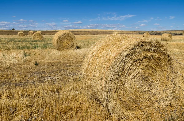 Bales of straw in brown field — Stock Photo, Image