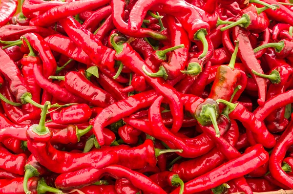Paprika merah panas pada layar — Stok Foto
