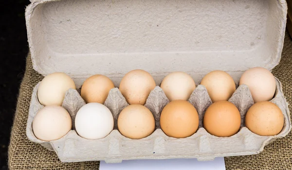 Kutu kahverengi organik yumurta — Stok fotoğraf