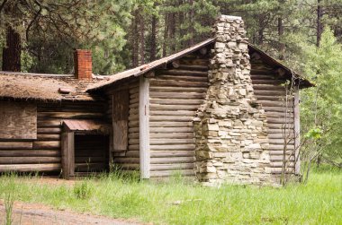 terk edilmiş günlük kabin Woods