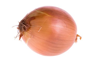 Brown Spanish onion isolated clipart