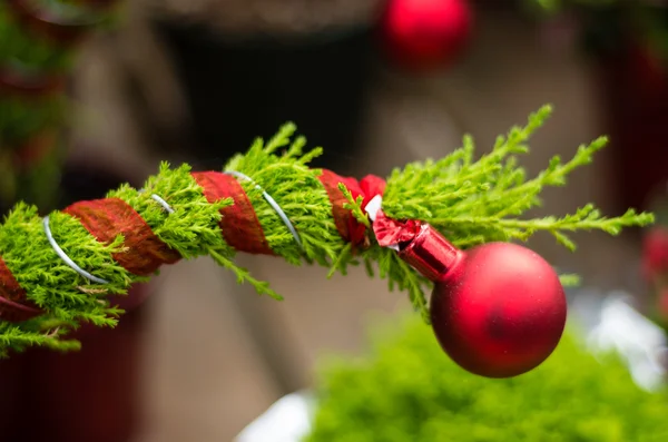 Rotes Ornament auf immergrün — Stockfoto