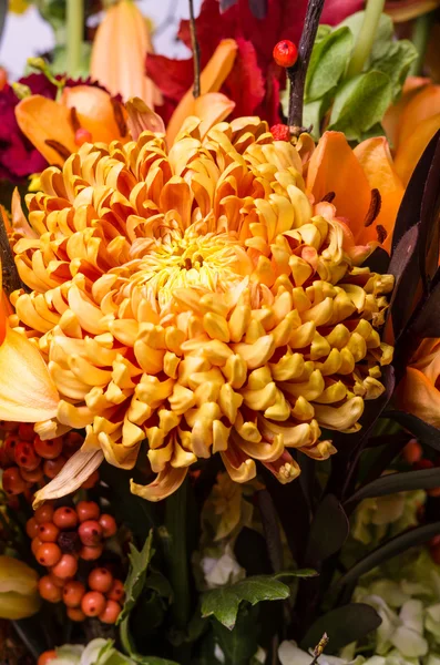 Chrysanthème en bronze fleur en arrangement — Photo