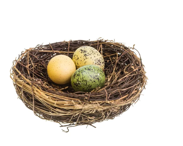 Nido de aves con huevos aislados en blanco — Foto de Stock