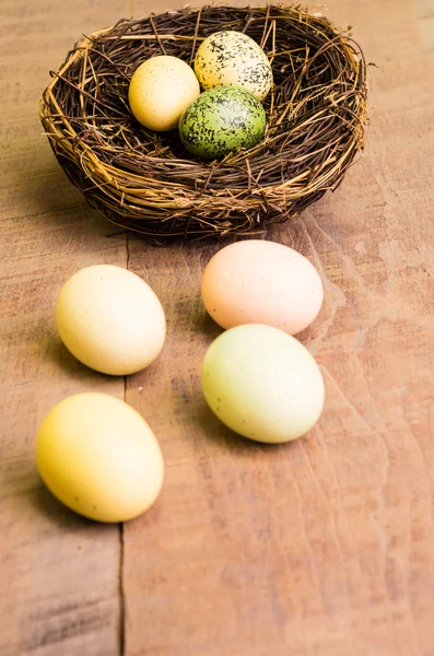 Mesa de madera con nido de aves y huevos verticales —  Fotos de Stock
