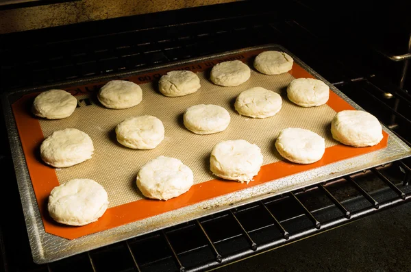 Tray of raw biscuits going into the oven — Stock Photo, Image