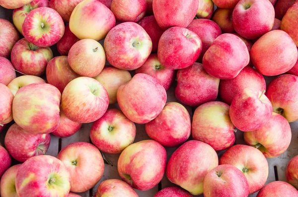 Manzanas frescas de miel crujiente en exhibición — Foto de Stock