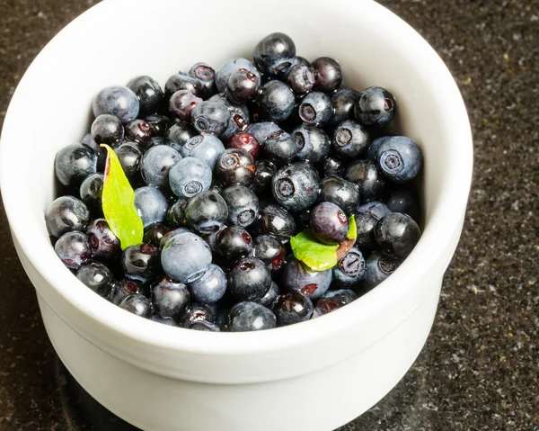 Bowl of freshly picked Huckleberries — Stock Photo, Image