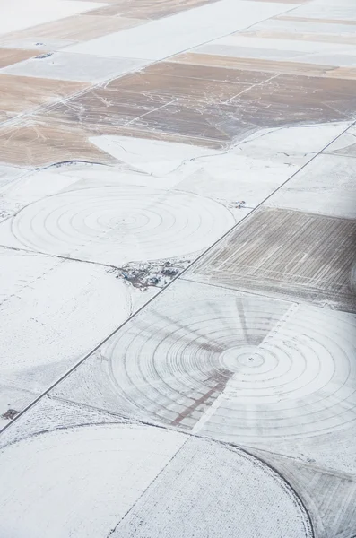 Aerial view of irrigation circles — Stock Photo, Image
