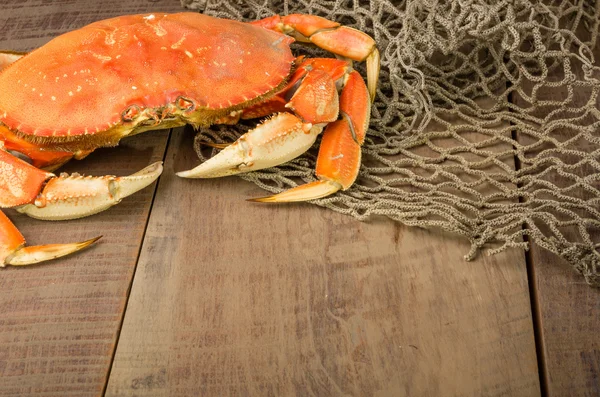 Dungeness crab ready to cook — Stockfoto