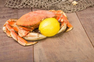 Dungeness Yengeç yemek hazır