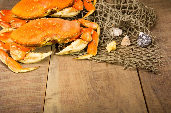 Dungeness crab ready to cook — Stockfoto