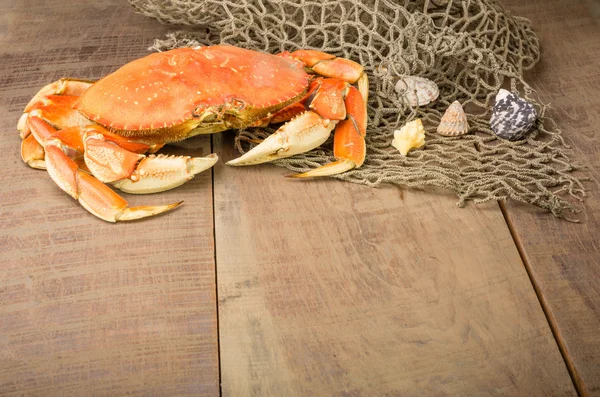 Dungeness Yengeç yemek hazır