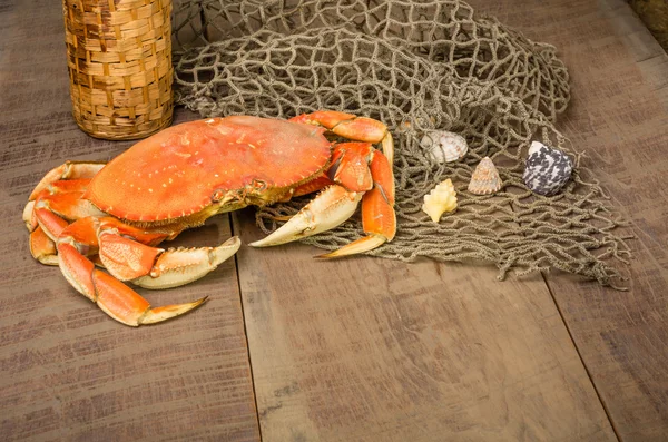 Dungeness crab ready to cook — Stockfoto