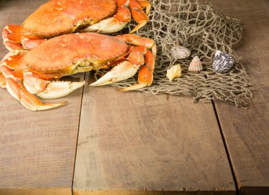 Dungeness Yengeç yemek hazır