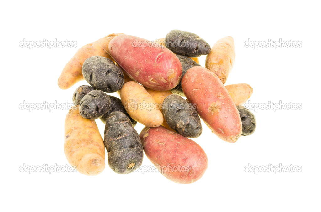 Colorful potatoes isolated on white