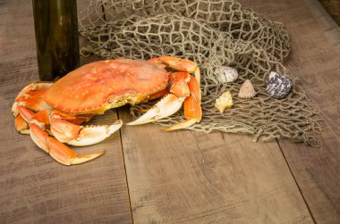 Dungeness Yengeç yemek hazır