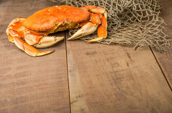 Dungeness crab ready to cook — Stockfoto
