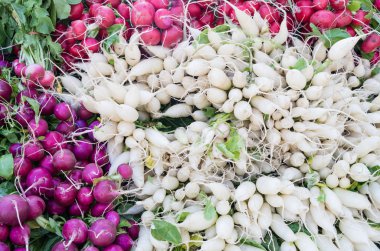 Turp farmer's Market ekranda