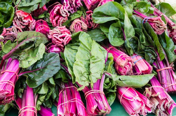 Rode swiss chard op de markt — Stockfoto