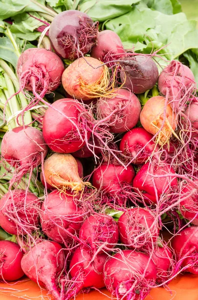 Beterraba fresca colhida no mercado — Fotografia de Stock