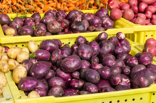 Fresh potatoes at the market — Stock Photo, Image