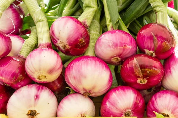 Red onions at the market — Stock Photo, Image