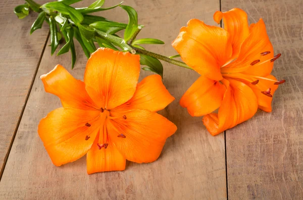 Květiny oranžové lilie na dřevěný stůl — Stock fotografie