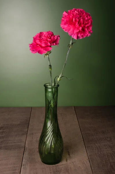 Flores de cravo vermelho em plena floração — Fotografia de Stock