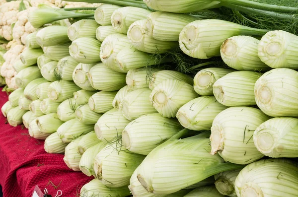 Fresh fennel bulbs at the market — Stock Photo, Image