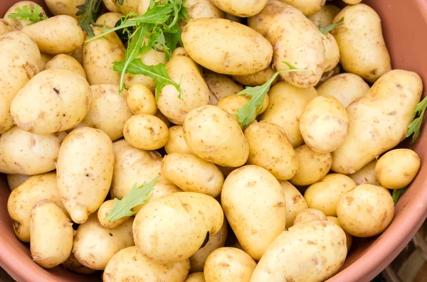 Fresh potatoes at the market — Stock Photo, Image