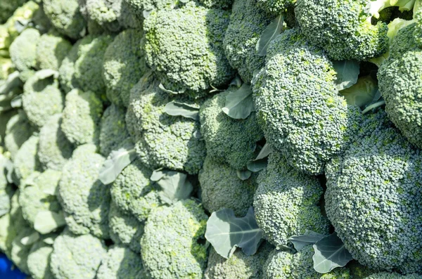 Verse broccoli op de markt — Stockfoto