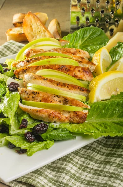 Apple cranberry chicken salad — Stock Photo, Image
