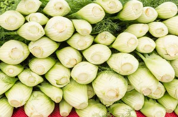 Fresh fennel on display at the market — Stock Photo, Image