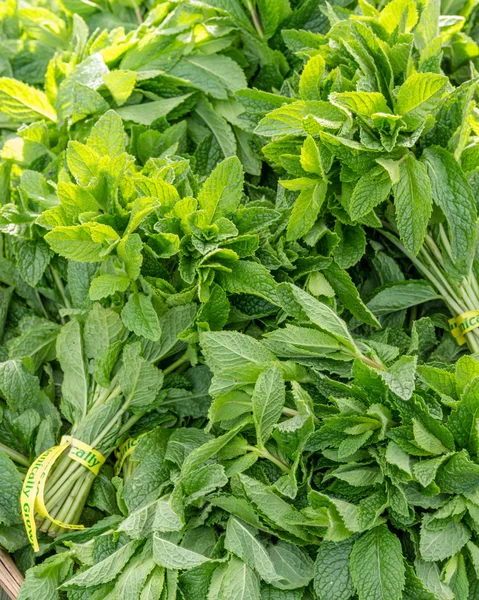 Fresh bundles of mint leaves on display at the market — Stock Photo, Image