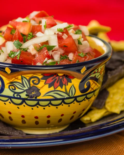 Skål med kryddig salsa och majschips — Stockfoto
