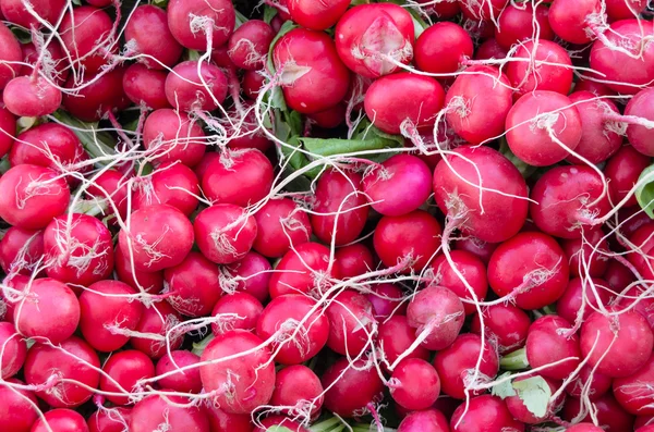 Rabanetes vermelhos frescos em exposição no mercado — Fotografia de Stock