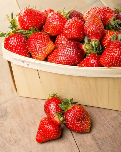 Vers geplukte aardbeien in een mand — Stockfoto