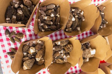 görüntülenen markette taze morel mantar