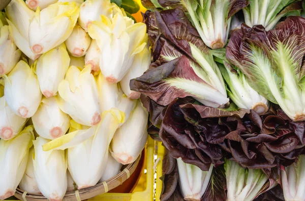 Taze radicchio'ndeki Market — Stok fotoğraf